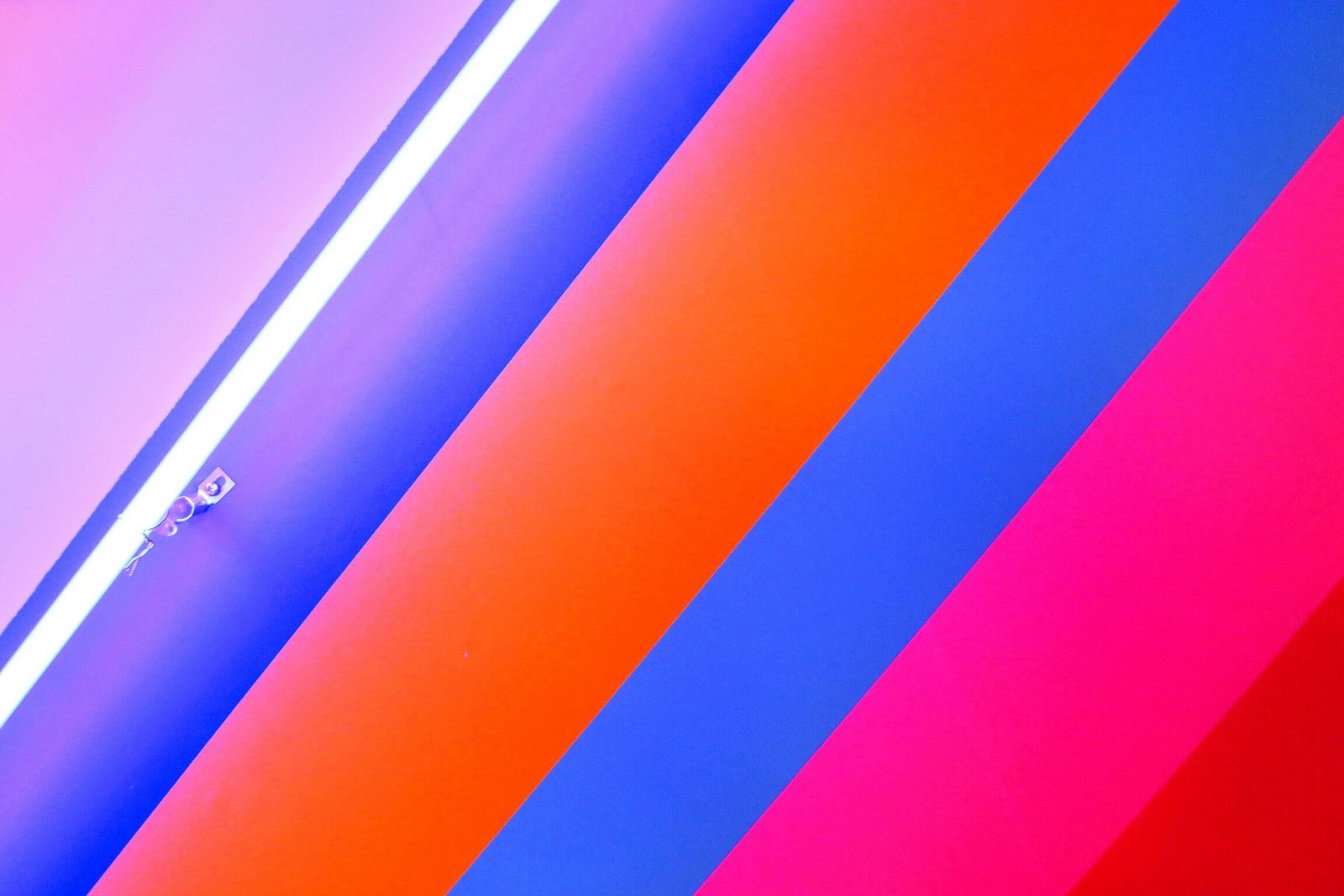 role of the color